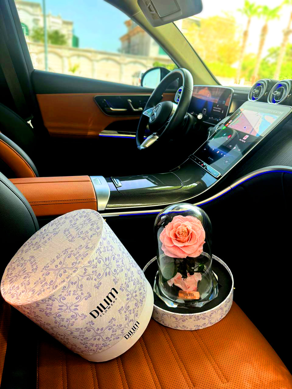 Pink Rose Immortal
