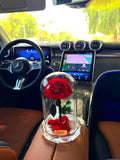 Red Rose Immortal