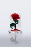 Red Rose Immortal