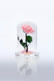 Pink Rose Immortal