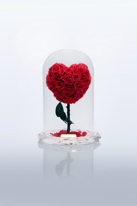 Red Heart Rose Immortal