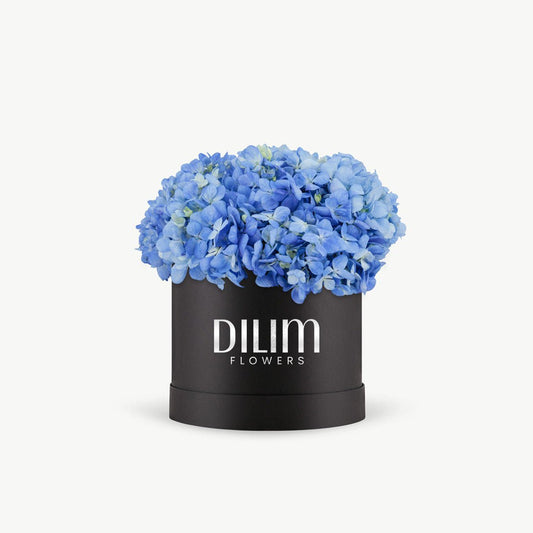 Blue Hydrangea Box
