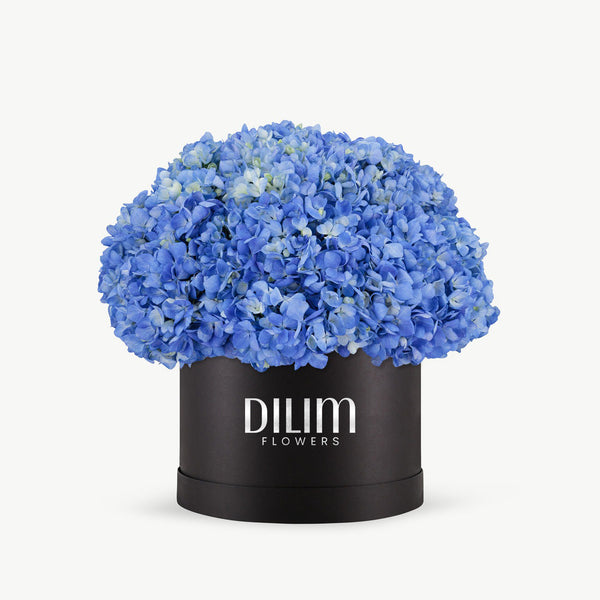 Blue Hydrangea Box