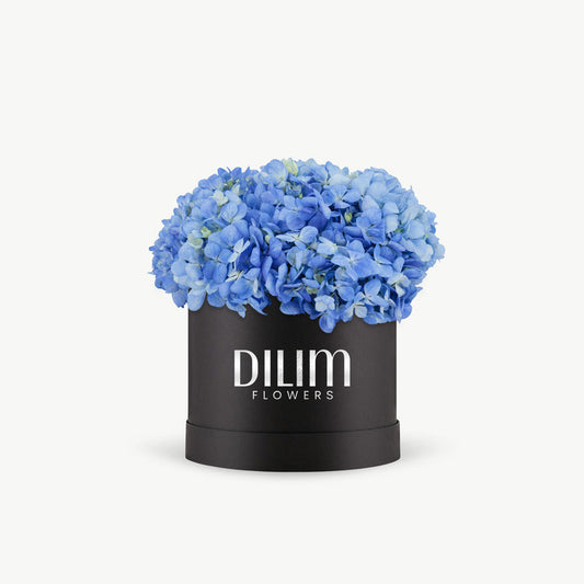 Blue Hydrangea Box