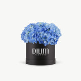 Blue Hydrangea Box