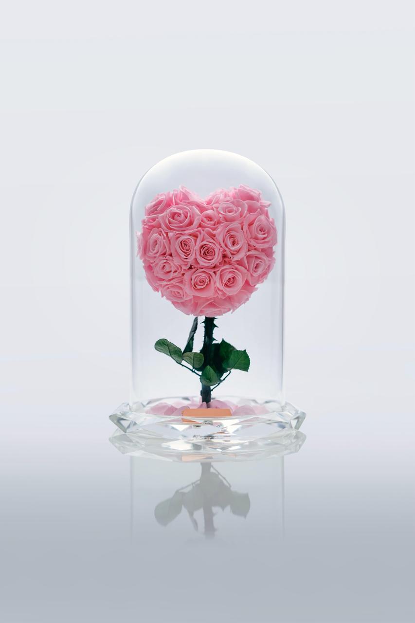 Pink Heart Rose Immortal