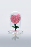 Pink Heart Rose Immortal