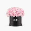 Pink Hydrangea  Box