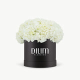 White  Hydrangea  Box