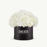 White  Hydrangea  Box