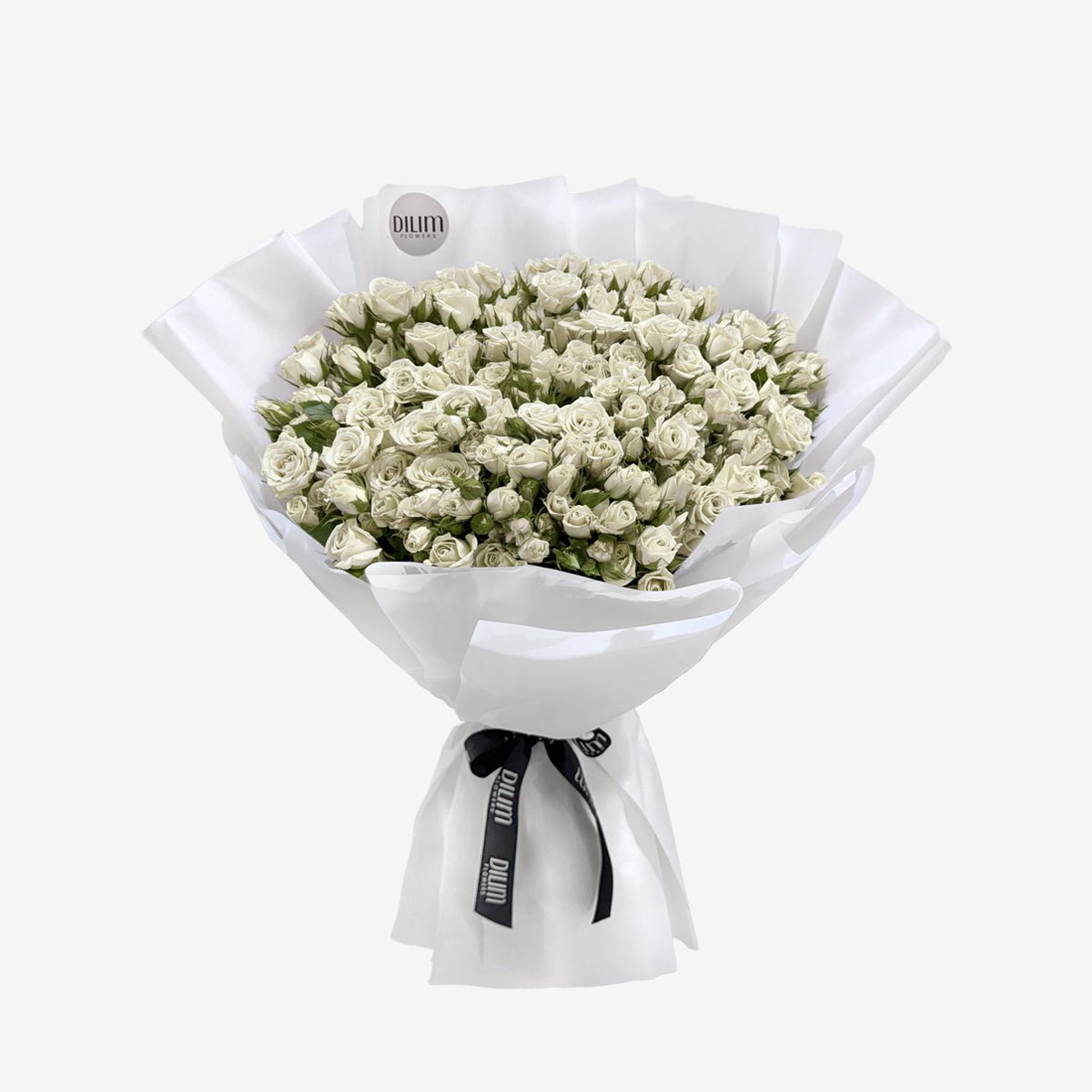 White  Spray Delight