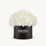 White  Hydrangea  Box