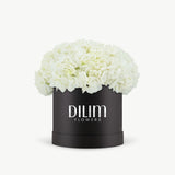 White  Hydrangea  Box